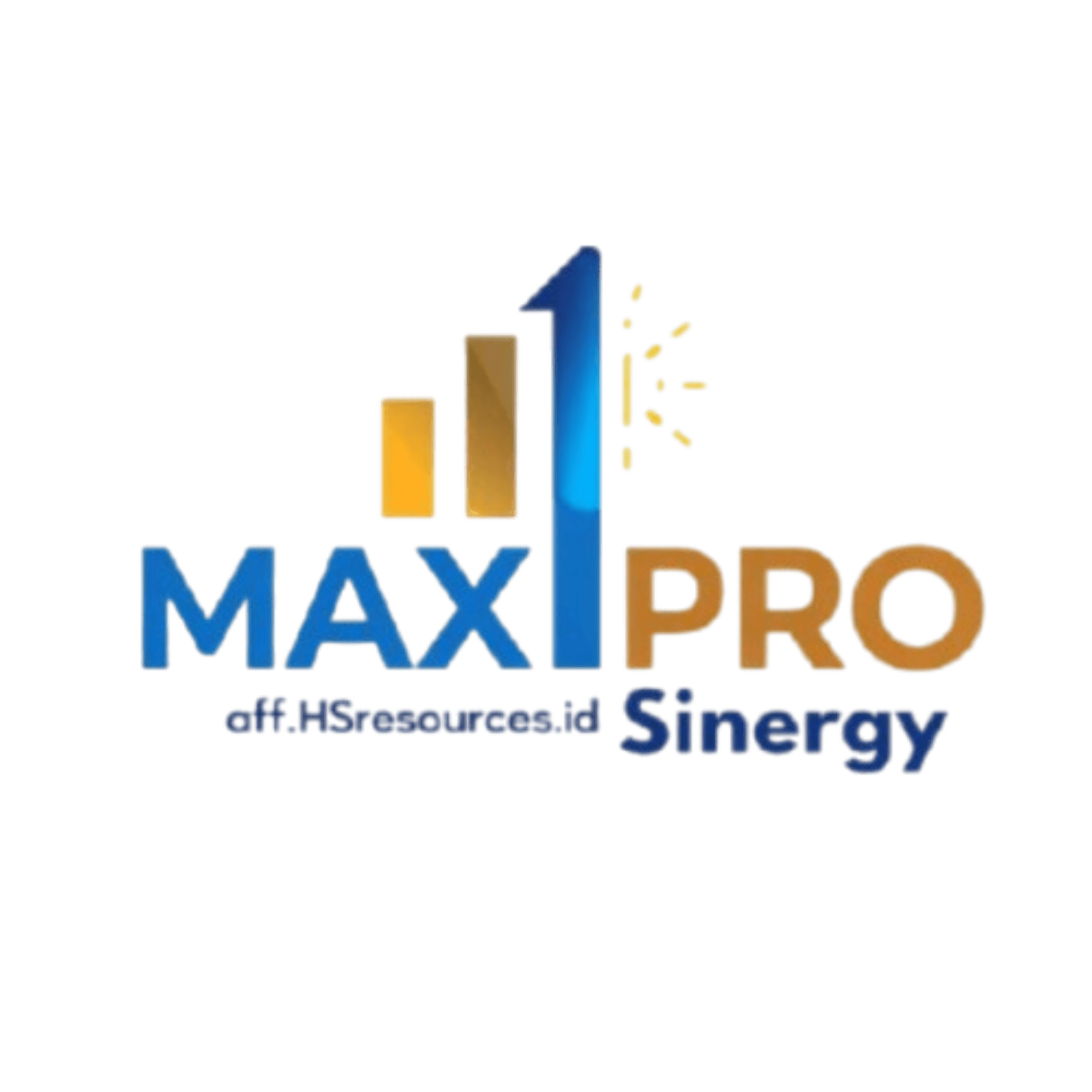 Logo MAXIPRO